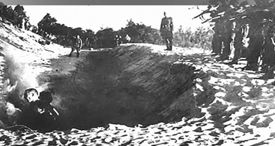 В сентябре 1941 г. произошел массовый расстрел евреев в Дубоссарах, во время которого было убито 18000 человек. В расстреле принимали участие немецкие офицеры и солдаты.
